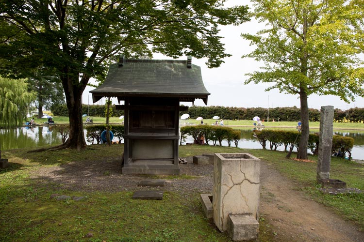 川里中央公園 弁天池