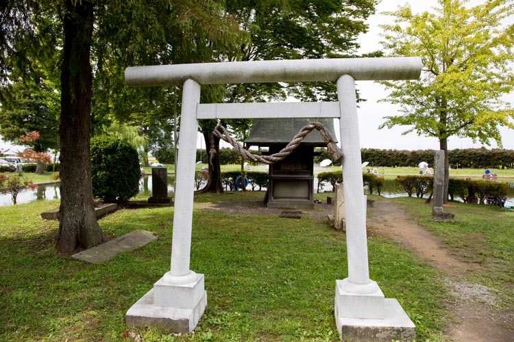 川里中央公園 弁天池