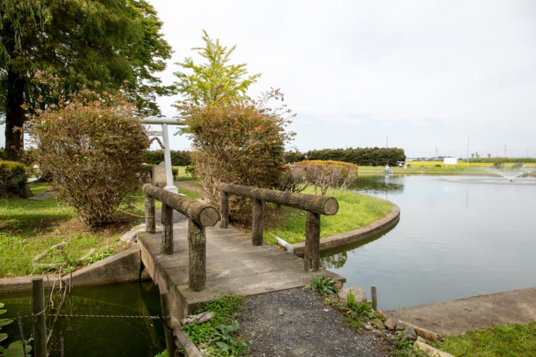 川里中央公園 弁天池