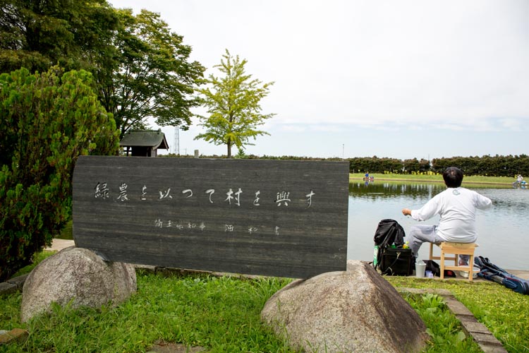 川里中央公園 弁天池