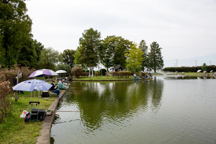 川里中央公園 弁天池