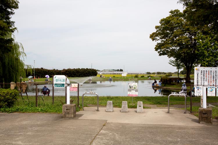 公園 川里 中央