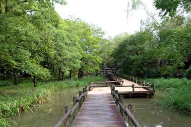 加須はなさき水上公園　自然観察園