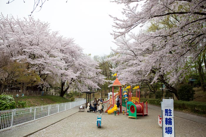 北本市子供公園 複合遊具