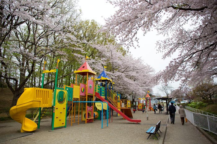 北本市子供公園 複合遊具
