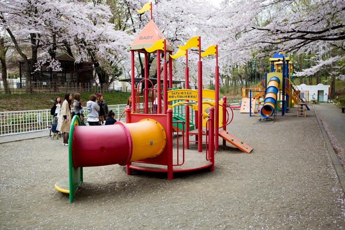 北本市子供公園 複合遊具