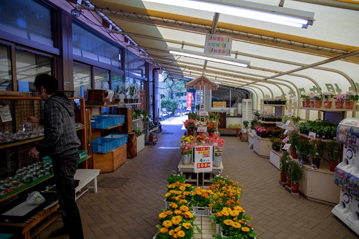 キヤッセ羽生 むじなも市場