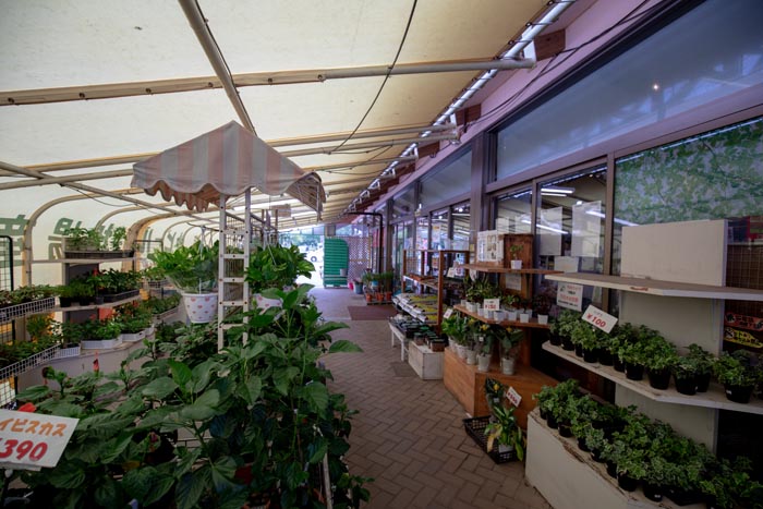 キヤッセ羽生 むじなも市場