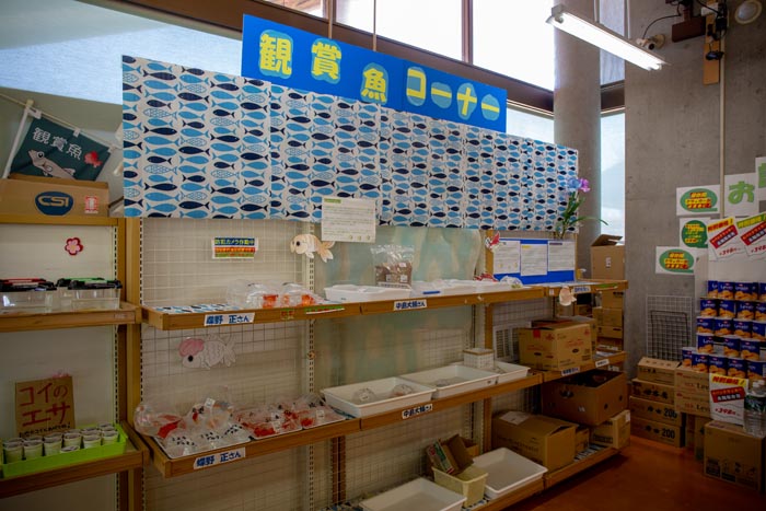 キヤッセ羽生 むじなも市場 観賞魚コーナー