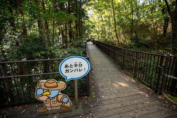 埼玉県こども動物自然公園 コバトンロード シカとカモシカの谷