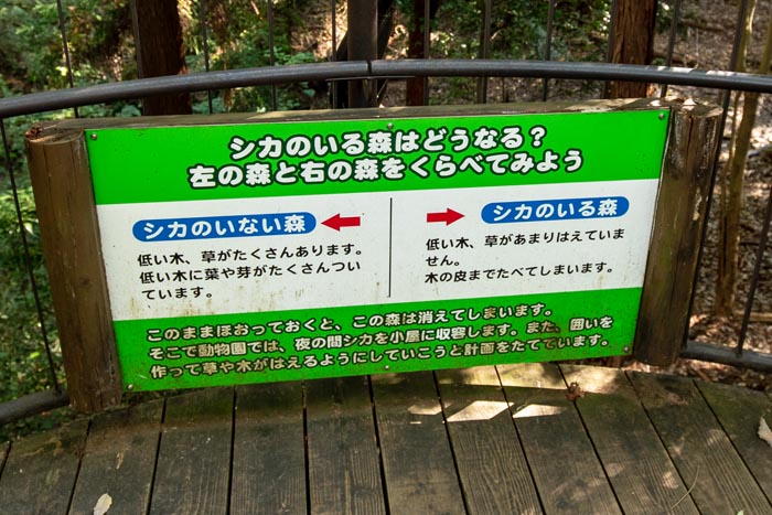 埼玉県こども動物自然公園 コバトンロード シカとカモシカの谷 シカのいない森とシカのいる森