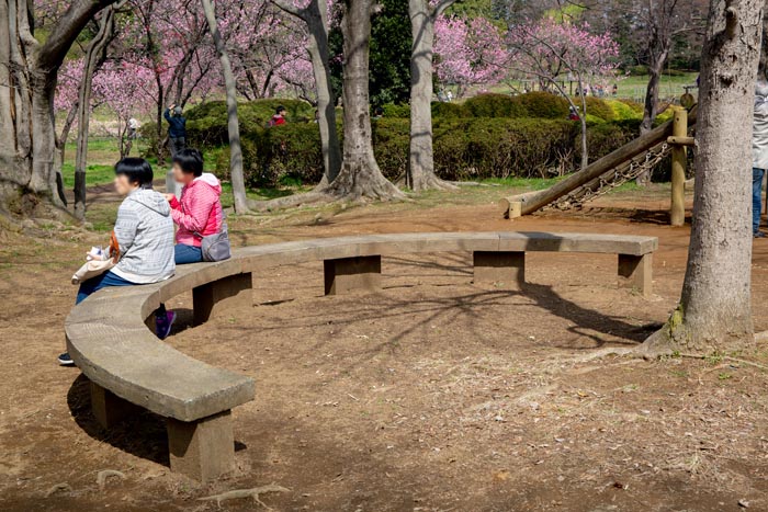 古河公方公園(古河総合公園)フィールドアスレチック