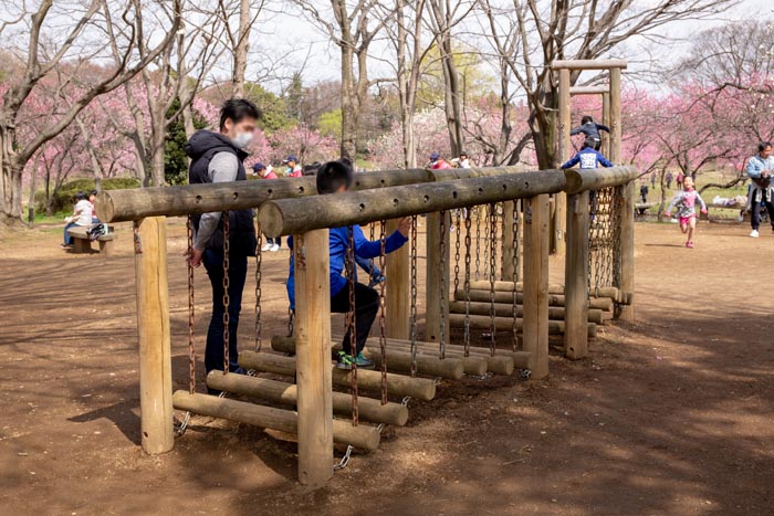 古河公方公園(古河総合公園)フィールドアスレチック