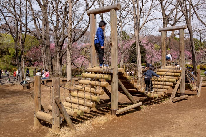 古河公方公園(古河総合公園)フィールドアスレチック