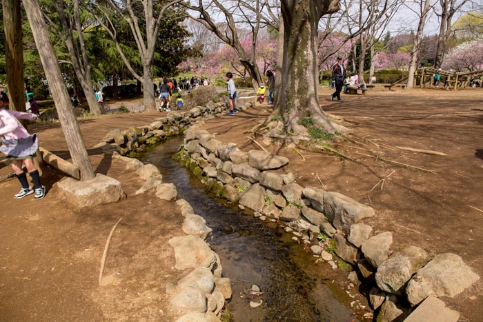 古河公方公園(古河総合公園)フィールドアスレチック