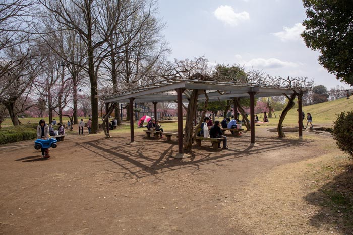 古河公方公園(古河総合公園)フィールドアスレチック