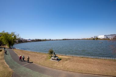 久喜菖蒲公園　昭和沼とサイクリングロード