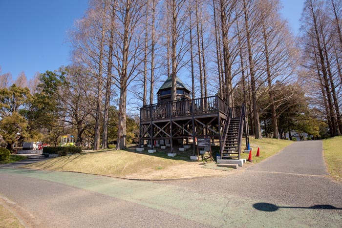 久喜菖蒲公園 ツリーハウス 外観