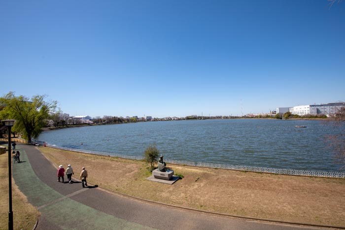 久喜菖蒲公園 ツリーハウスからの眺望