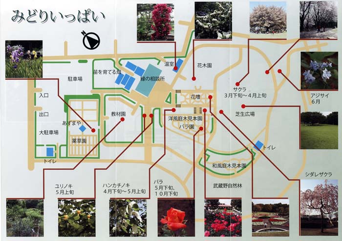 智光山公園　都市緑化植物園　園内案内図