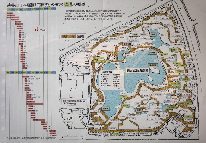 花田苑・こしがや能楽堂 案内図 樹木分布図