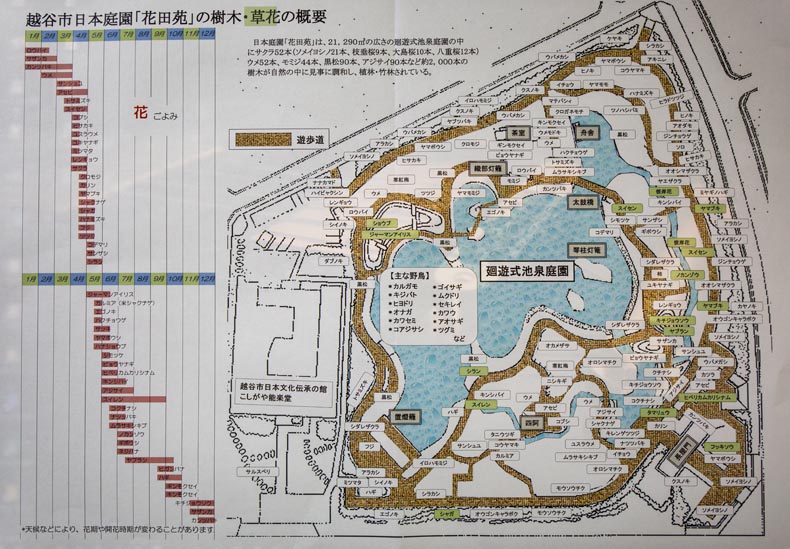 花田苑 花田第六公園 こしがや能楽堂 埼玉県越谷市 公園へ行こう