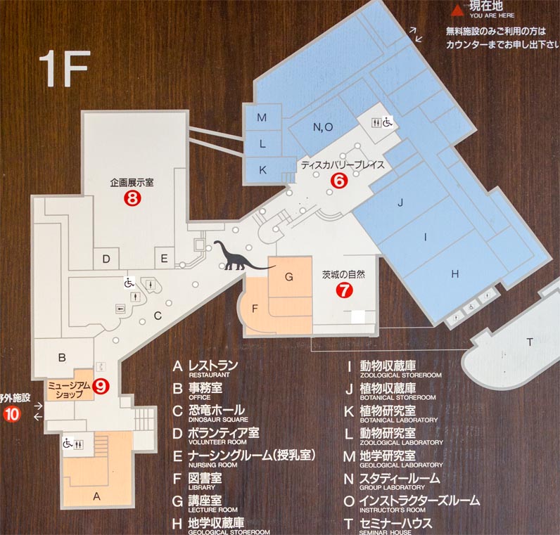 茨城県自然博物館　1階部分案内図