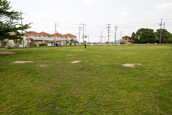 松伏記念公園 芝生広場