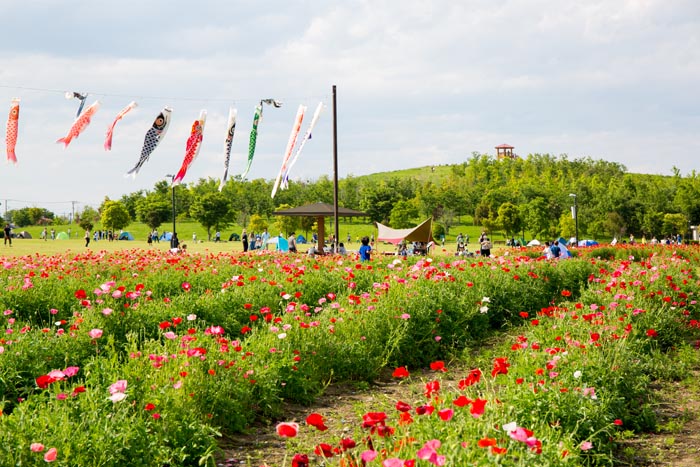まつぶし緑の丘公園 松伏町 公園へ行こう まつぶし緑の丘公園 松伏町 公園へ行こう