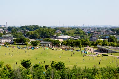 まつぶし緑の丘公園　里山の頂上からの眺望　東京スカイツリー
