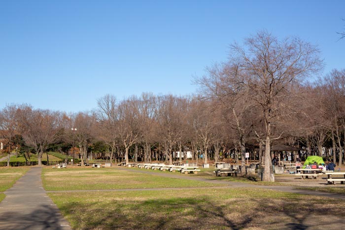 みさと公園 埼玉県三郷市 バーベキュー場 炊飯場 公園へ行こう