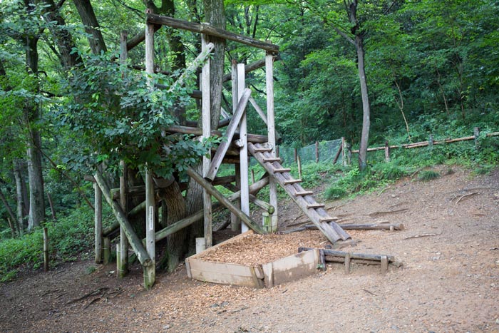 トーベ・ヤンソンあけぼの子どもの森公園 樹上の家(ツリーハウス)