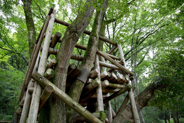 トーベ・ヤンソンあけぼの子どもの森公園 樹上の家(ツリーハウス)