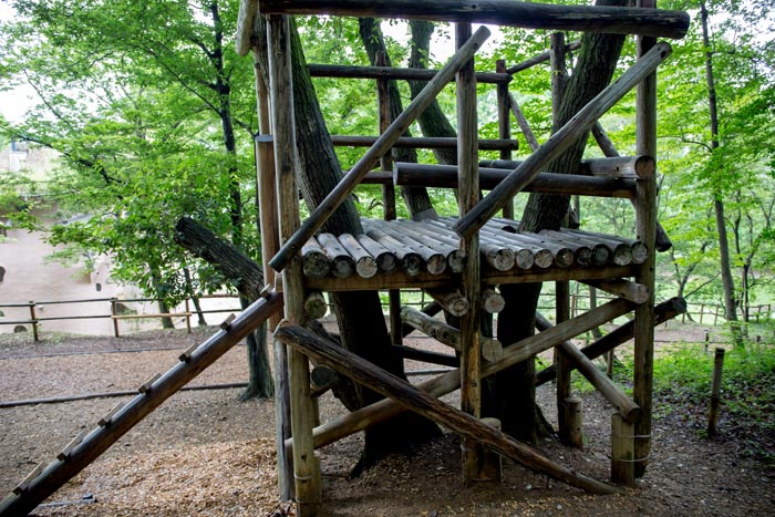 トーベ・ヤンソンあけぼの子どもの森公園 樹上の家(ツリーハウス)