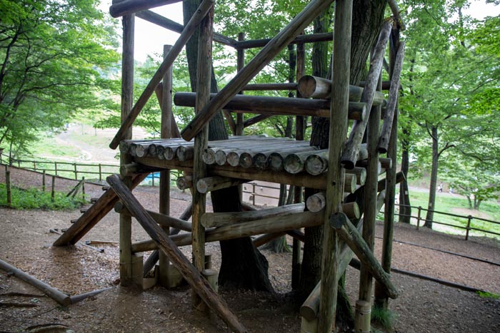 トーベ・ヤンソンあけぼの子どもの森公園 樹上の家(ツリーハウス)