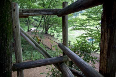 トーベ・ヤンソンあけぼの子どもの森公園 樹上の家(ツリーハウス)