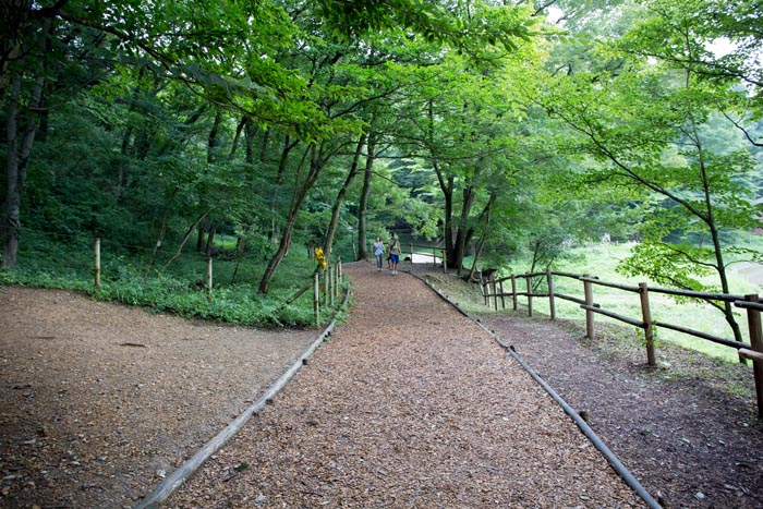 トーベ・ヤンソンあけぼの子どもの森公園 樹上の家(ツリーハウス) 園路