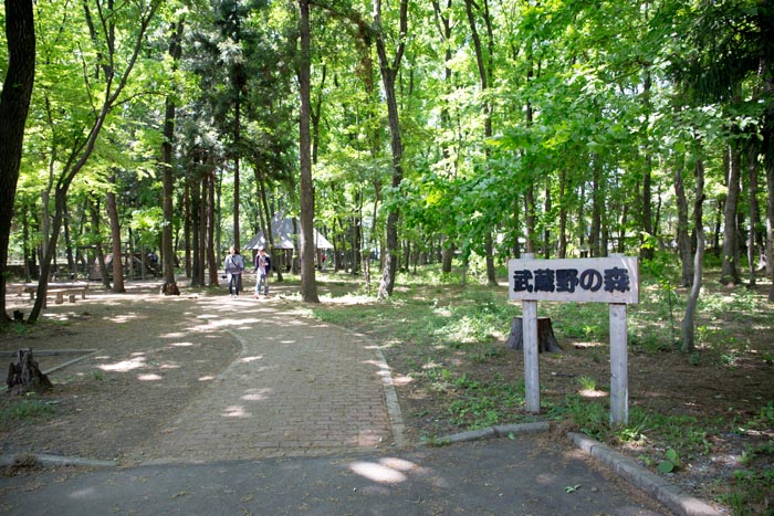 埼玉県農林公園　フィールドアスレチック