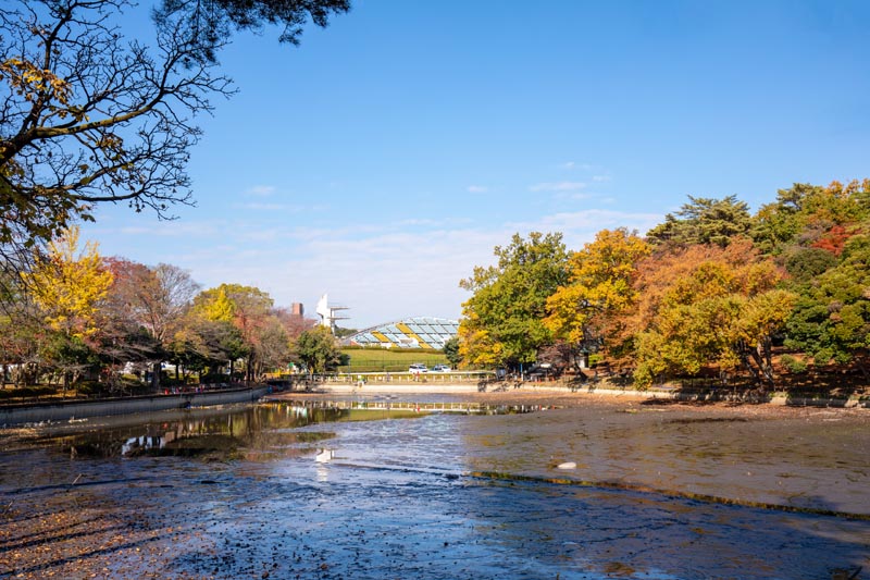 大宮公園 紅葉 池の周囲