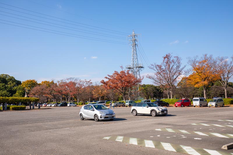 大宮第二公園 多目的広場周囲の紅葉