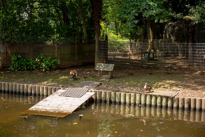 大崎公園 子供動物園