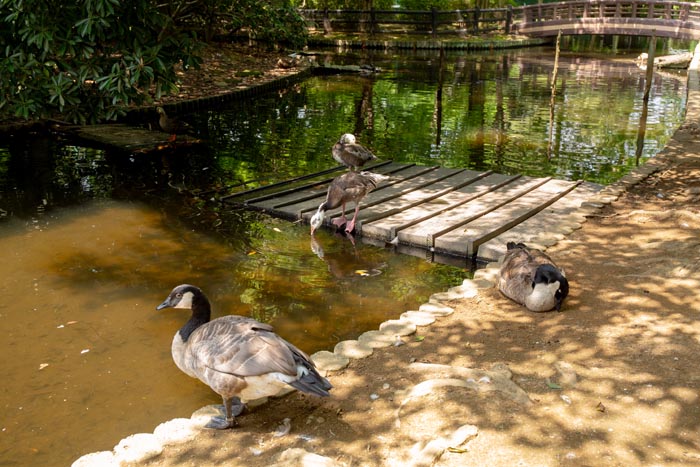 大崎公園 子供動物園