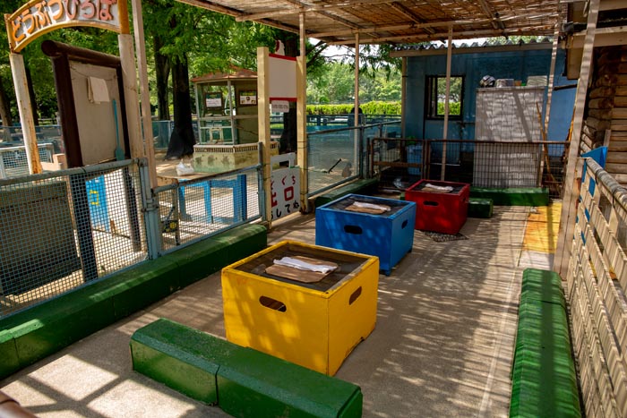 大崎公園 子供動物園 どうぶつ広場