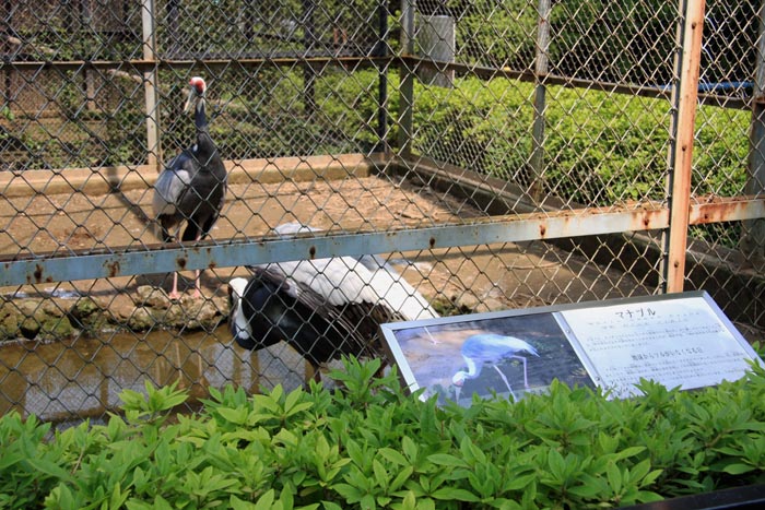 大崎公園 子供動物園