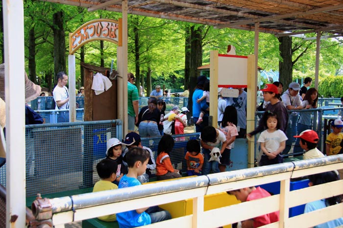 大崎公園 子供動物園