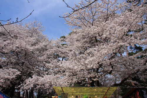 {@J̍2008N