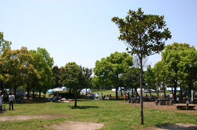 庄和総合公園　2007年の写真