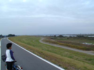 河川敷緑地公園（菜の花・コスモス公園）　利根サイクリングコース　1999年の写真