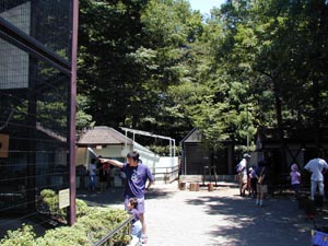 上尾丸山公園　小動物園