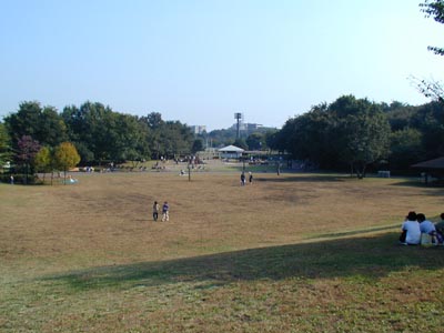大泉中央公園　陽だまりの広場　古い写真　2001年の写真